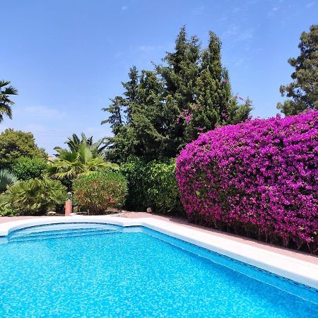 Villa With Private Pool, Bbq, Fitness Center & Sauna San Vicente Raspeig المظهر الخارجي الصورة