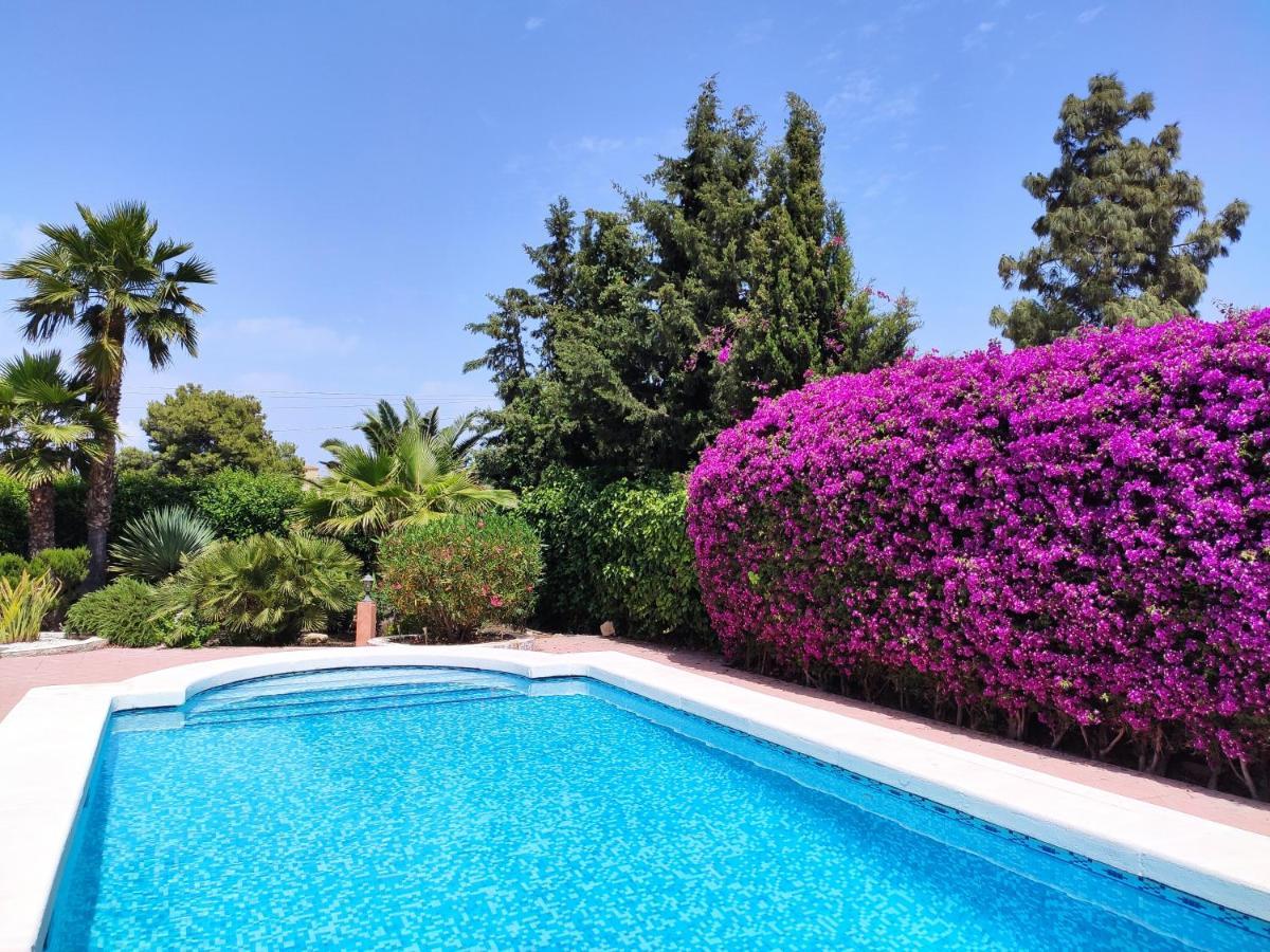 Villa With Private Pool, Bbq, Fitness Center & Sauna San Vicente Raspeig المظهر الخارجي الصورة