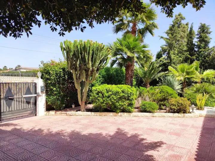 Villa With Private Pool, Bbq, Fitness Center & Sauna San Vicente Raspeig المظهر الخارجي الصورة